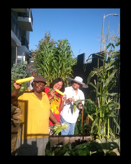 Gardeners proudly show off their successful crop of corn!